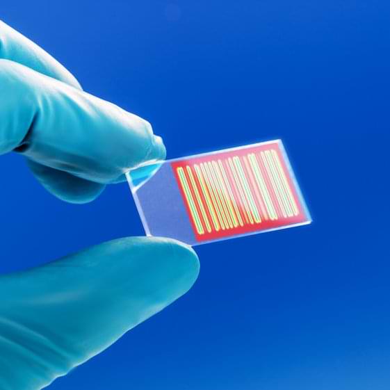 DNA bio chip